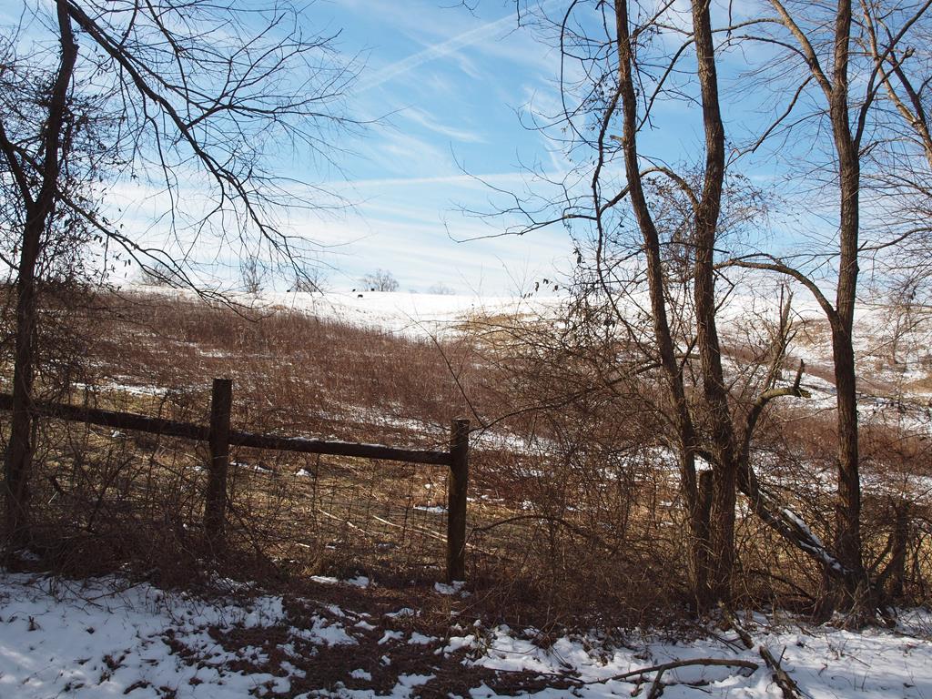 Chilhowie Real Estate Listings Main Image