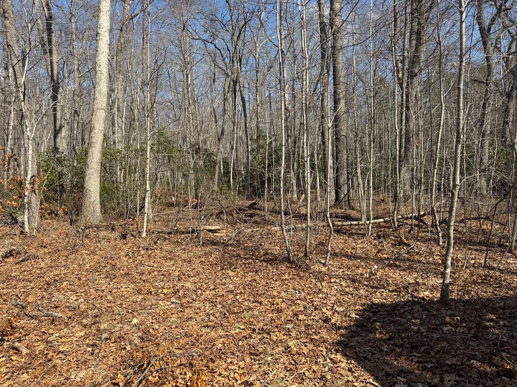 Tbd Brookstone Road Property Photo