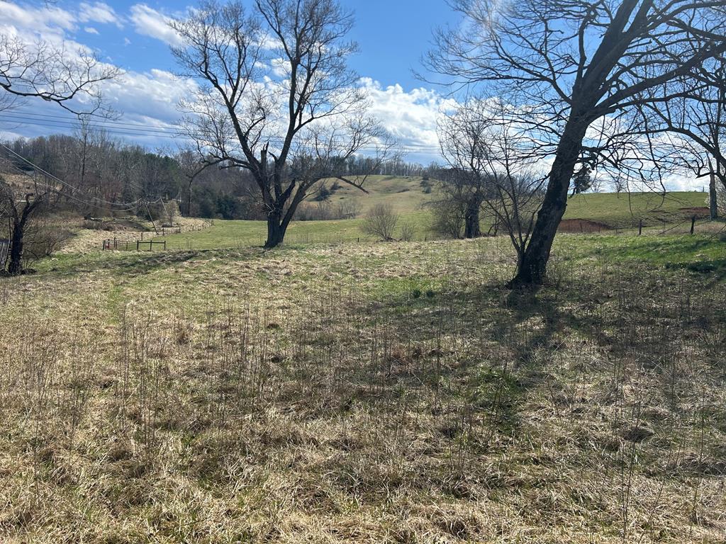 Tbd Cedar Creek Rd Property Photo
