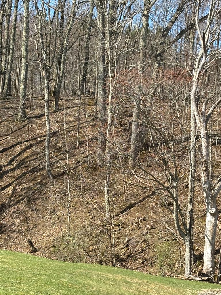 Tbd Forest Hills Drive Property Photo