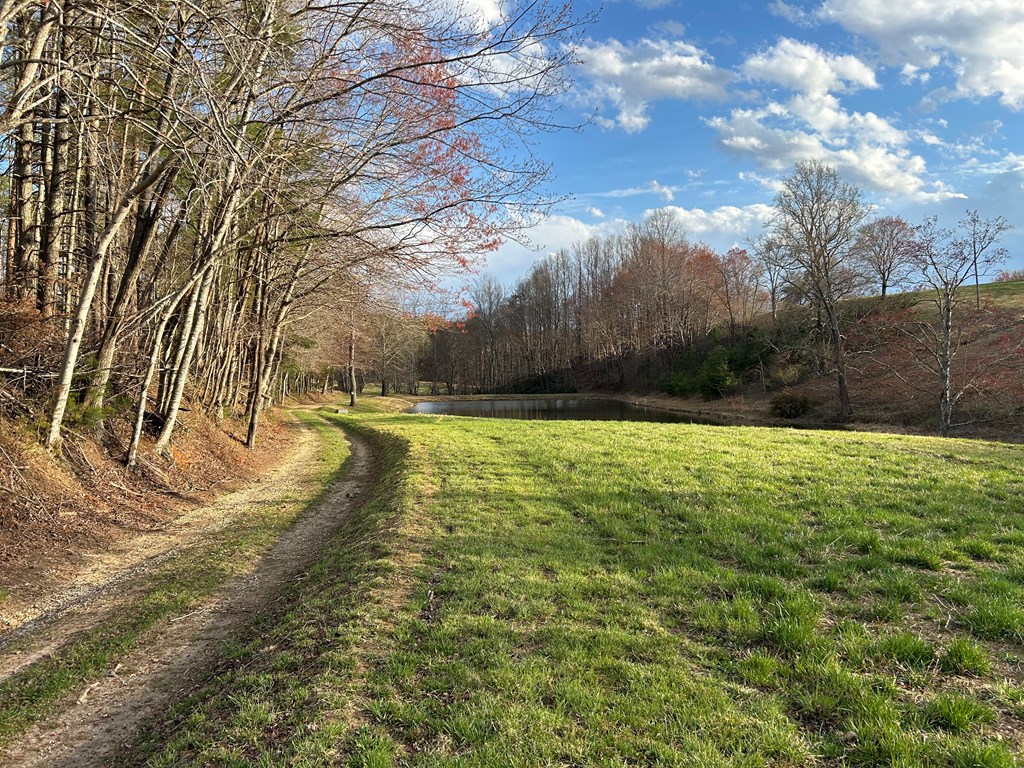 590 Ike Slate Lane Property Photo 22