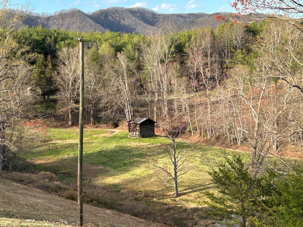 590 Ike Slate Lane Property Photo 24