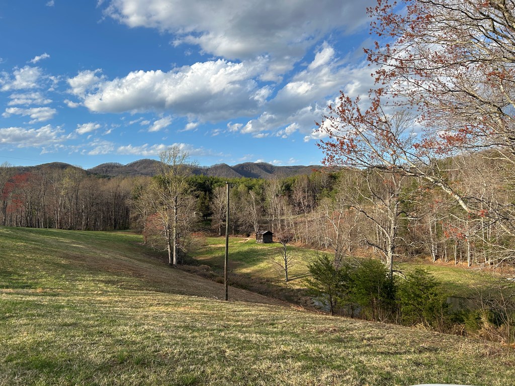 590 Ike Slate Lane Property Photo 26