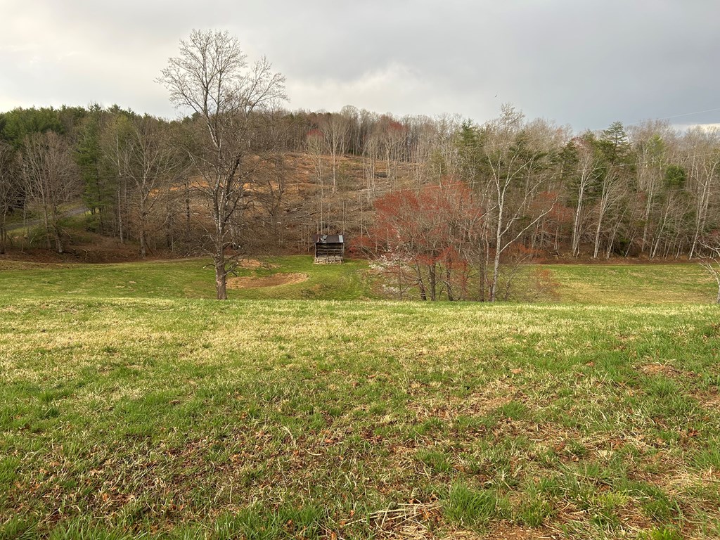 590 Ike Slate Lane Property Photo 29
