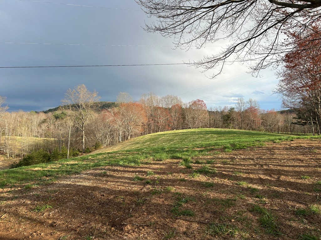 590 Ike Slate Lane Property Photo 30