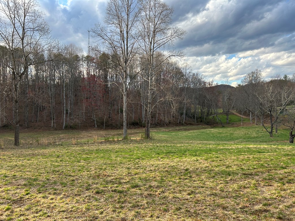 590 Ike Slate Lane Property Photo 36