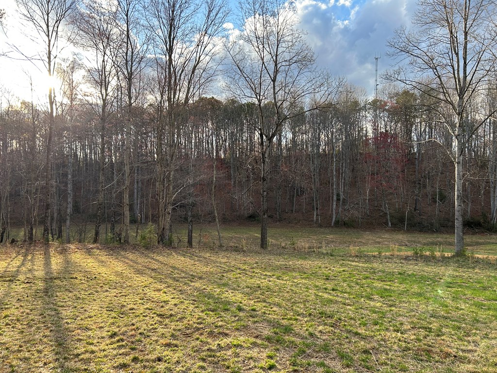 590 Ike Slate Lane Property Photo 37