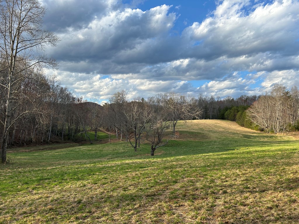 590 Ike Slate Lane Property Photo 39