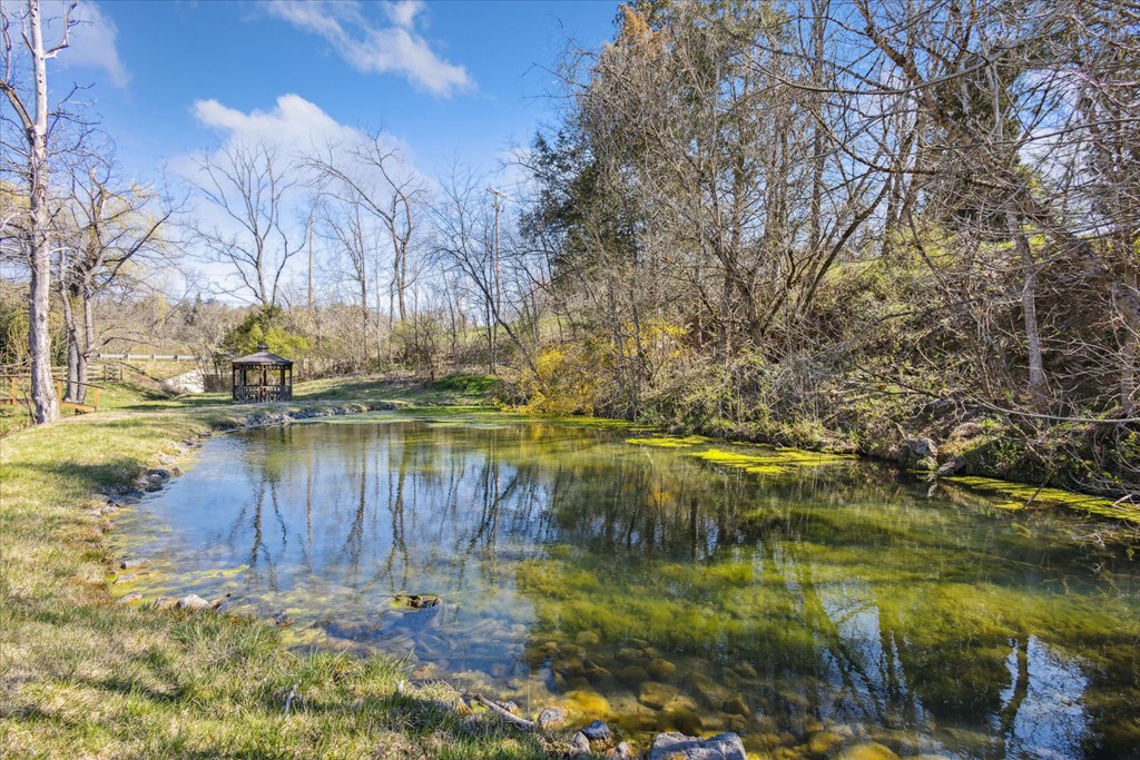1229 Cook's Valley Road Property Photo 41
