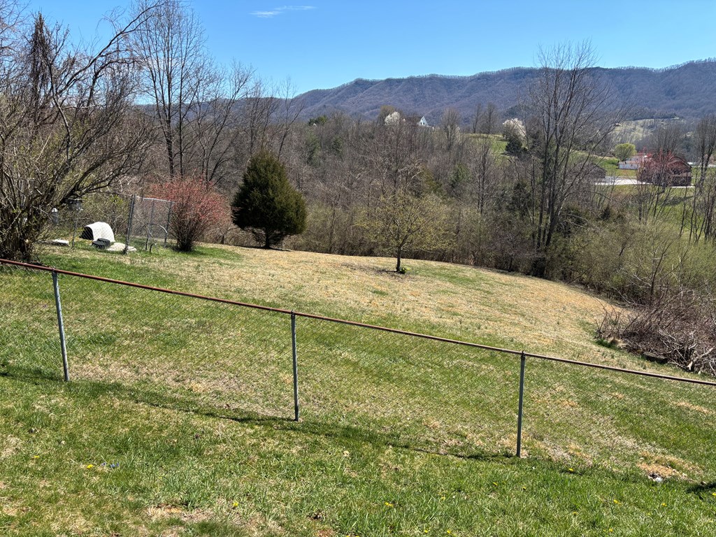 1037 Pond Street Property Photo 25