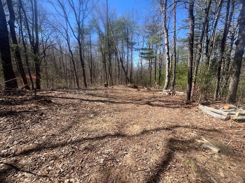 Tbd Forest Green Drive Property Photo 1