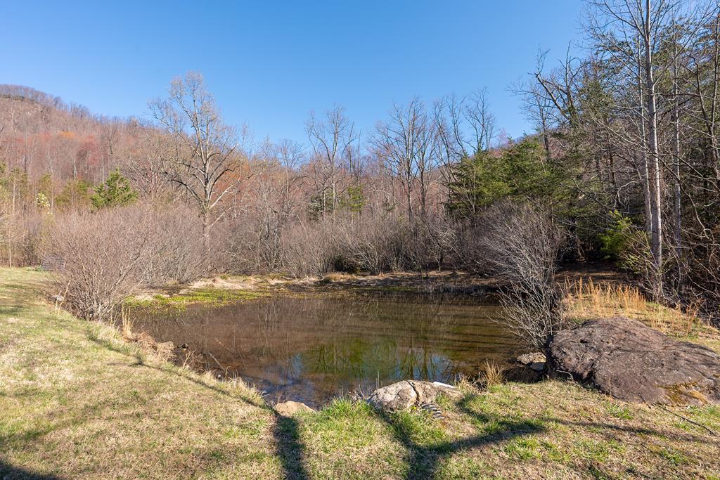 5949 Belcher Mountain Rd Property Photo 57