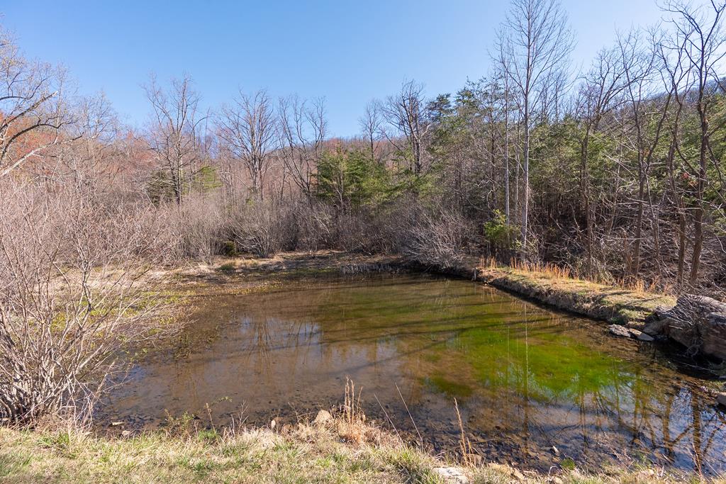 5949 Belcher Mountain Rd Property Photo 60