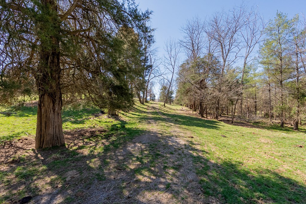 Tbd Ivanhoe Rd Property Photo 5