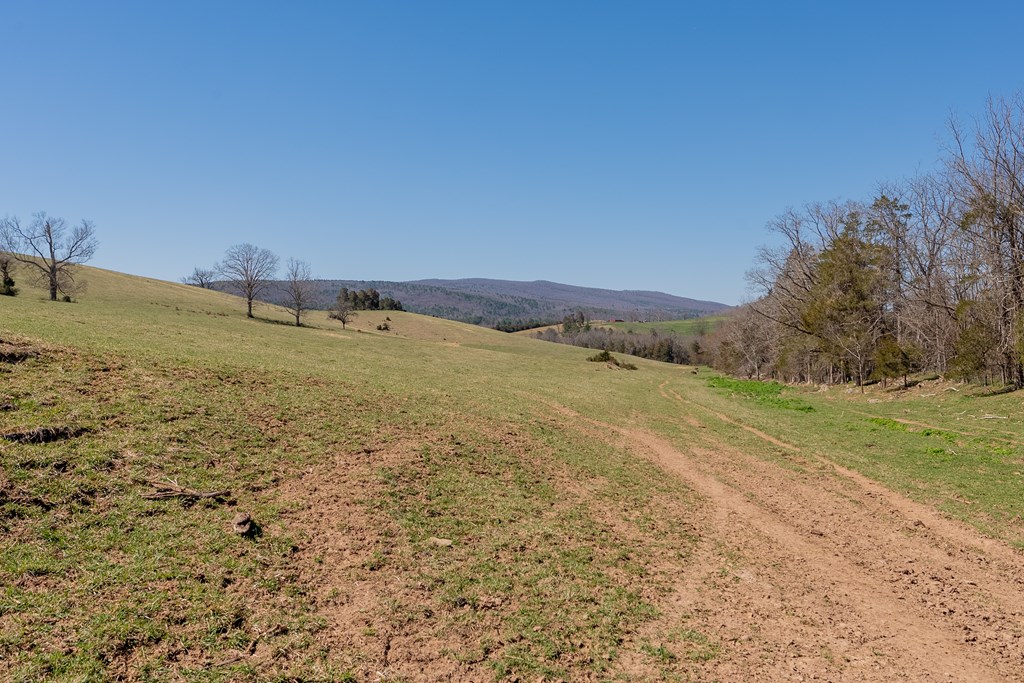 Tbd Ivanhoe Rd Property Photo 14