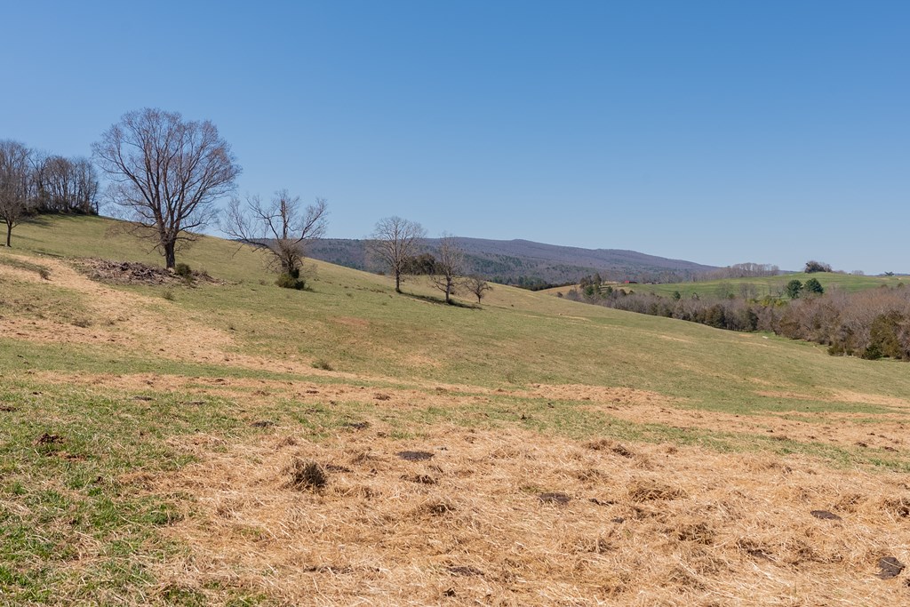 Tbd Ivanhoe Rd Property Photo 18