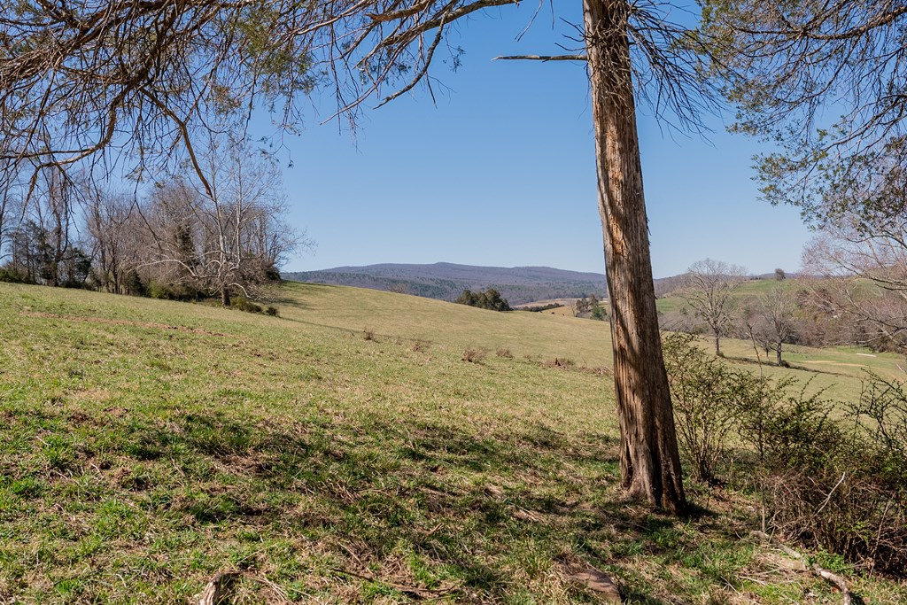 Tbd Ivanhoe Rd Property Photo 21