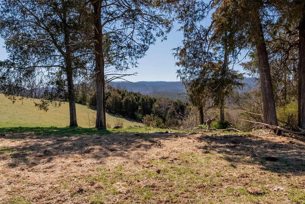 Tbd Ivanhoe Rd Property Photo 43
