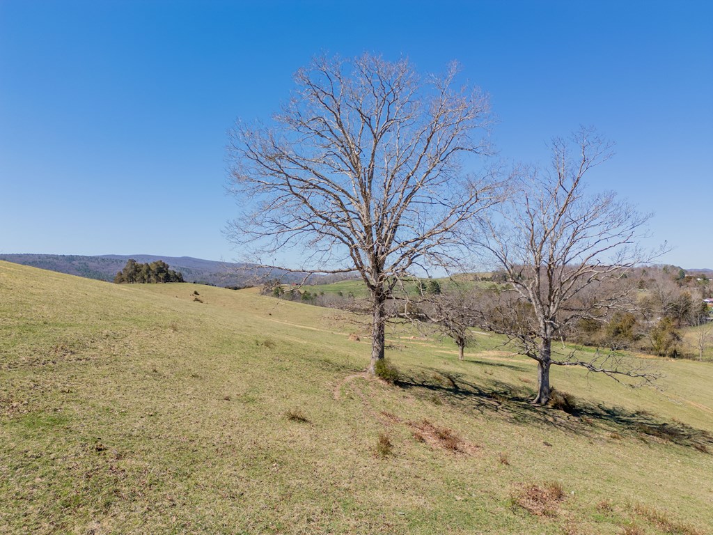 Tbd Ivanhoe Rd Property Photo 50