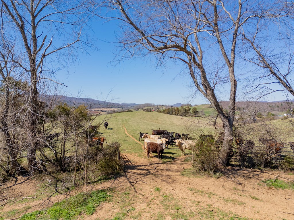 Tbd Ivanhoe Rd Property Photo 64