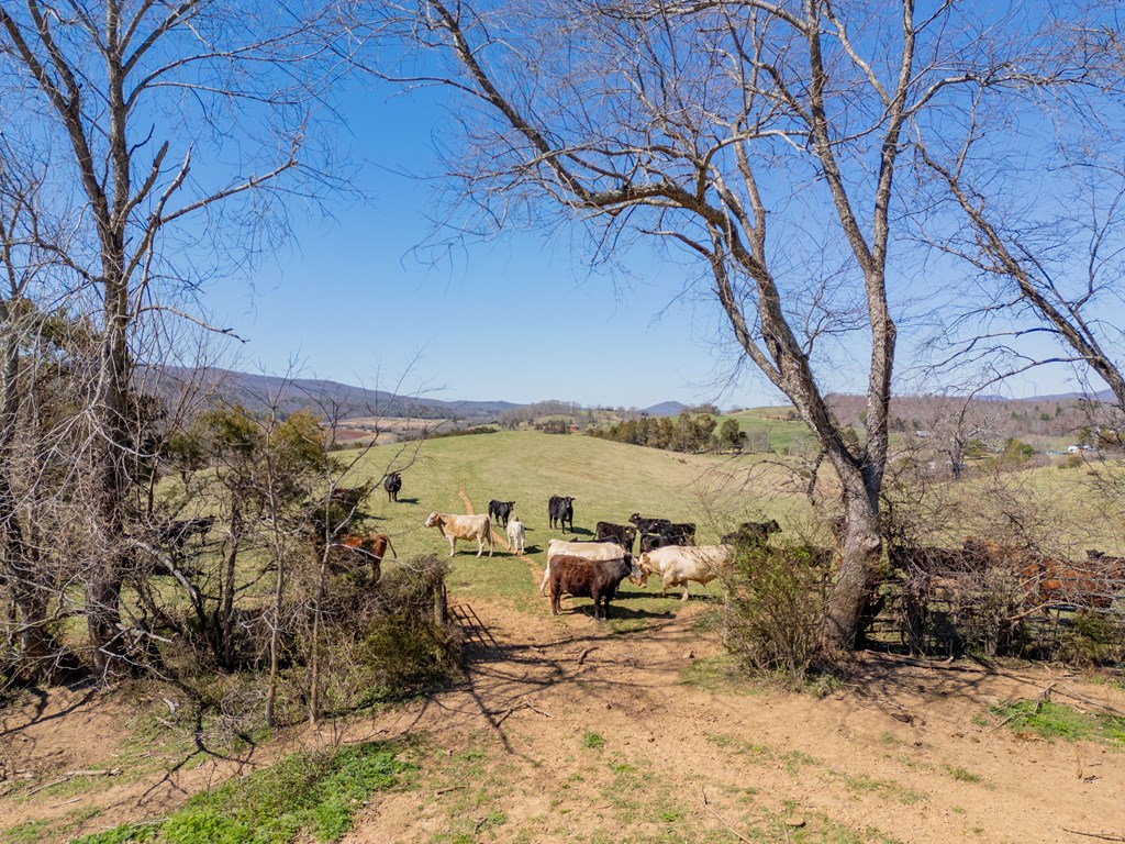 Tbd Ivanhoe Rd Property Photo 65