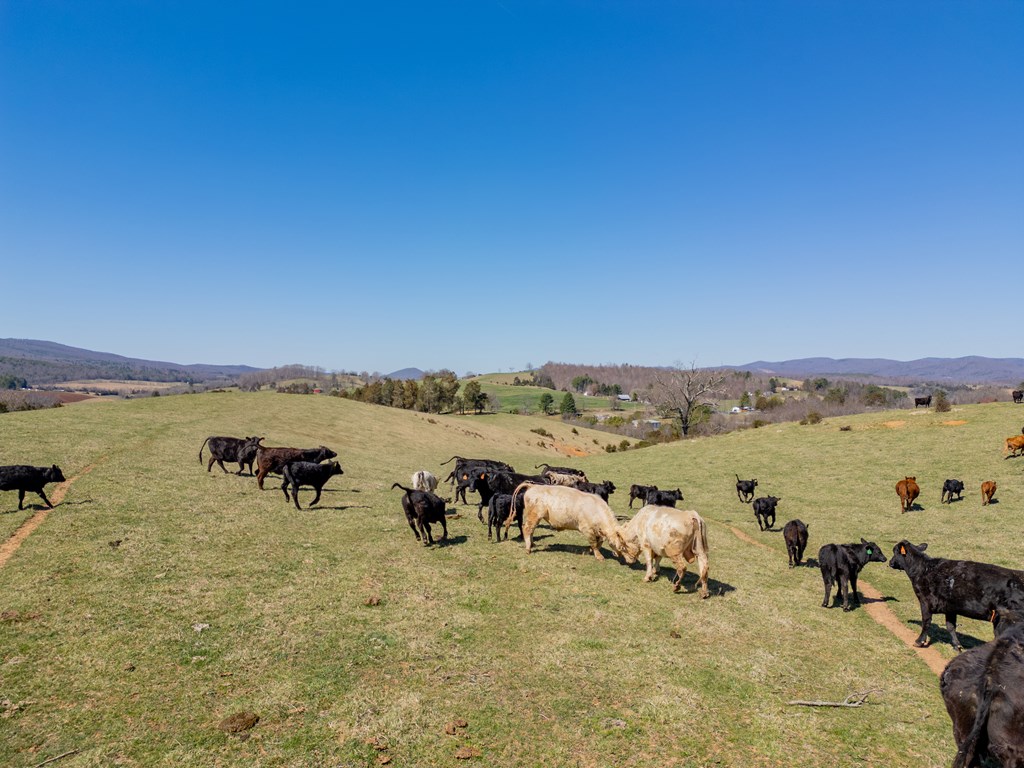 Tbd Ivanhoe Rd Property Photo 66