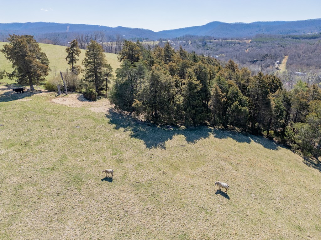 Tbd Ivanhoe Rd Property Photo 95