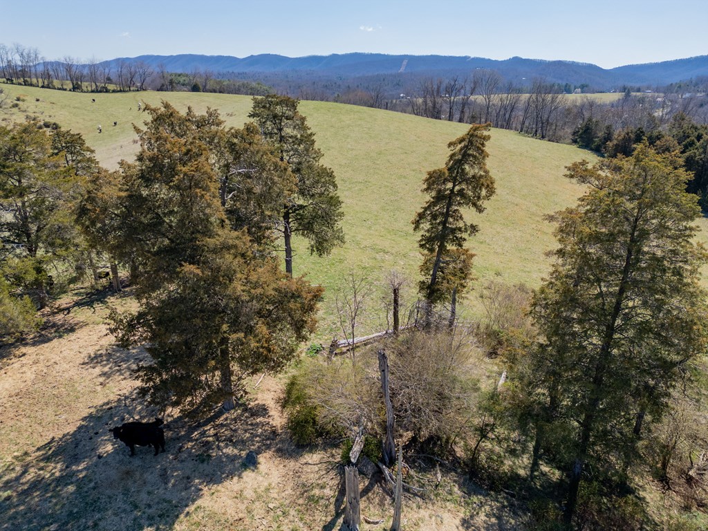 Tbd Ivanhoe Rd Property Photo 96