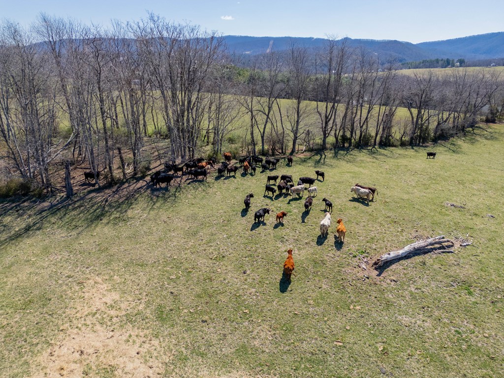 Tbd Ivanhoe Rd Property Photo 97