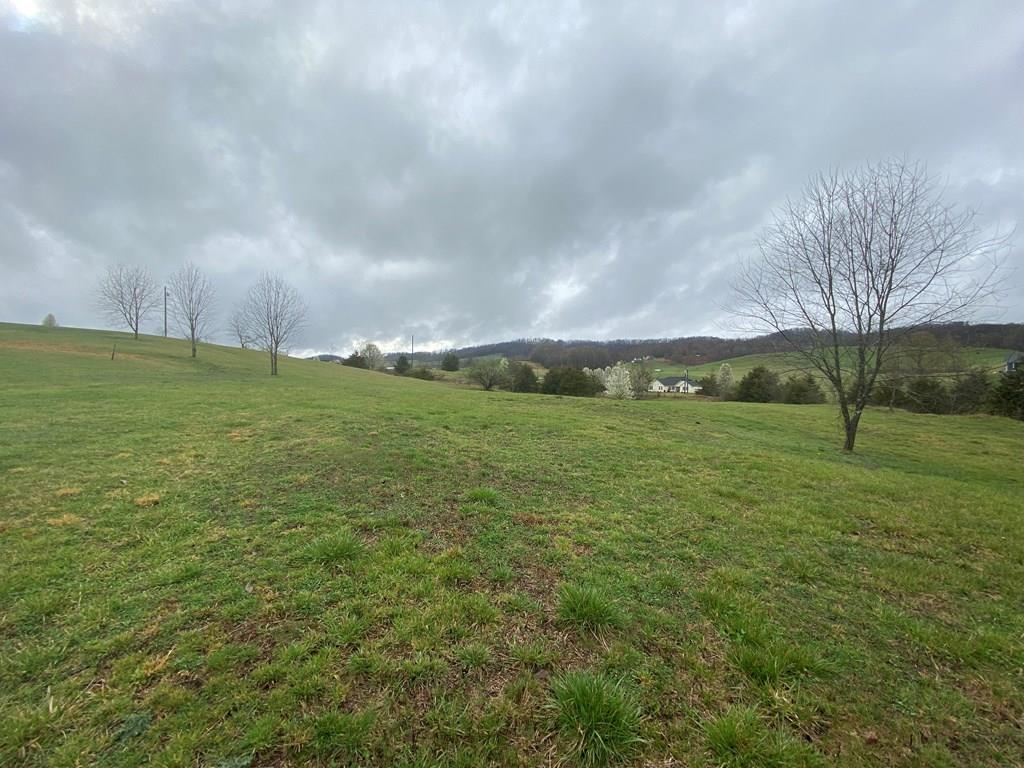0 Reedy Creek Property Photo