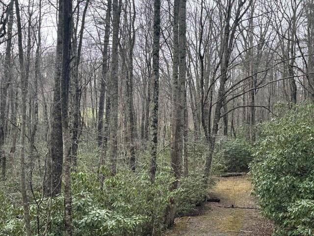 Tbd Crooked Creek Lane Property Photo