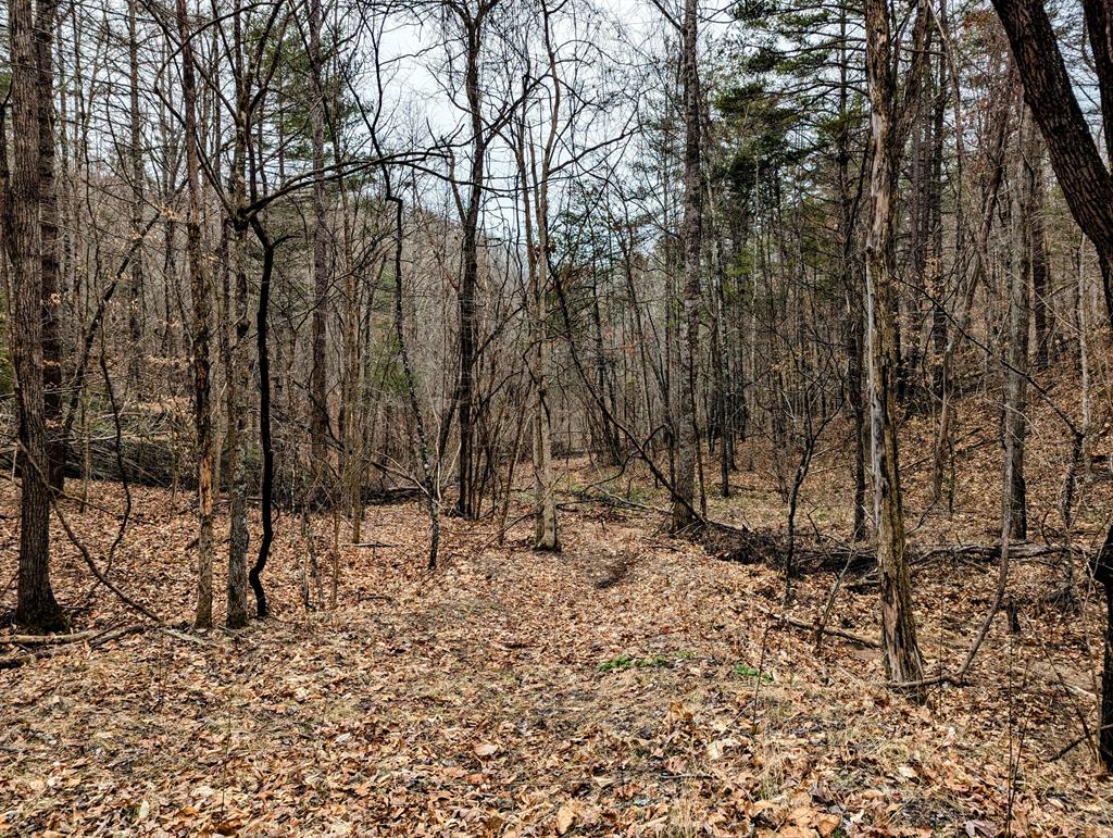 Tbd Yates Rd Property Photo 1