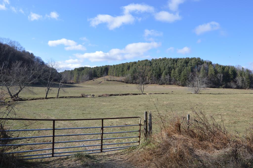 Tbd Redgate Drive Property Photo 1