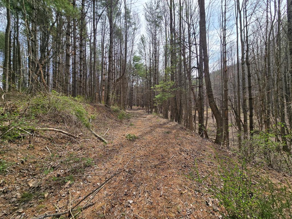 Tbd Breezy Ridge Rd Property Photo