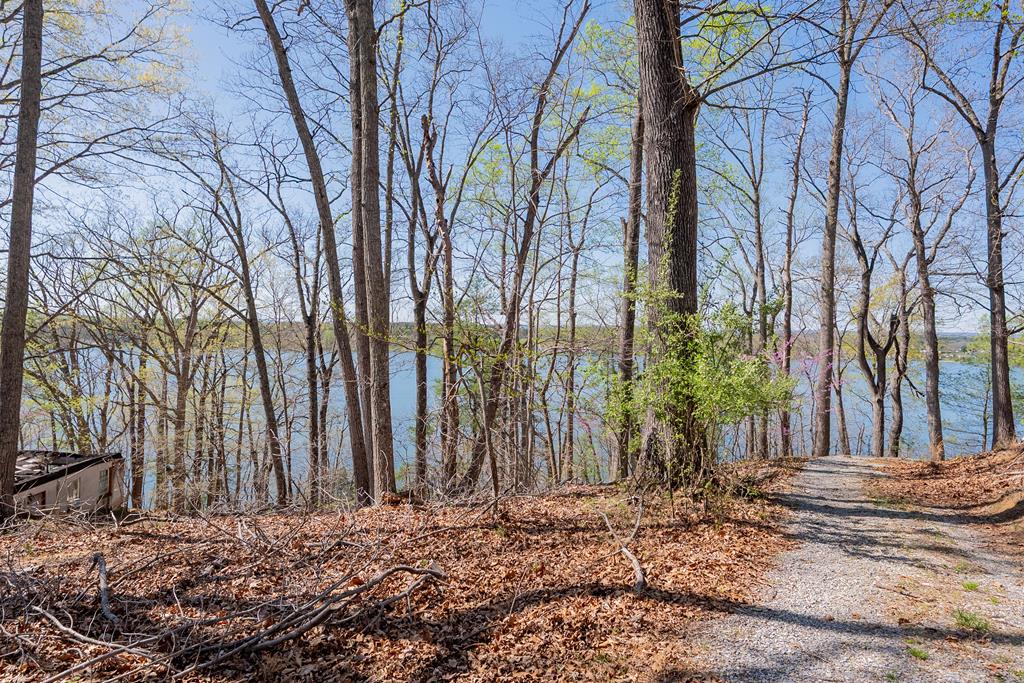 Lot 2a Martin Road Property Photo 1