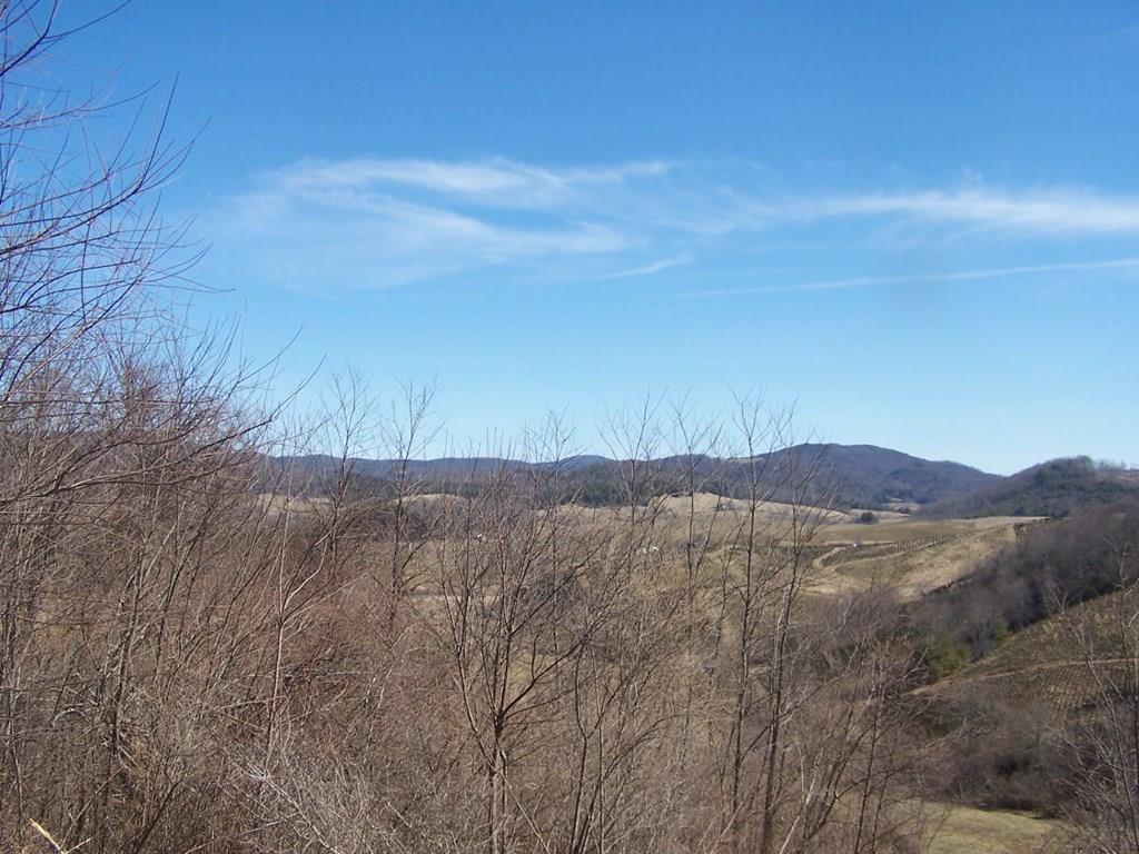 Lot #5 Off Mountain Meadows Lane Property Photo