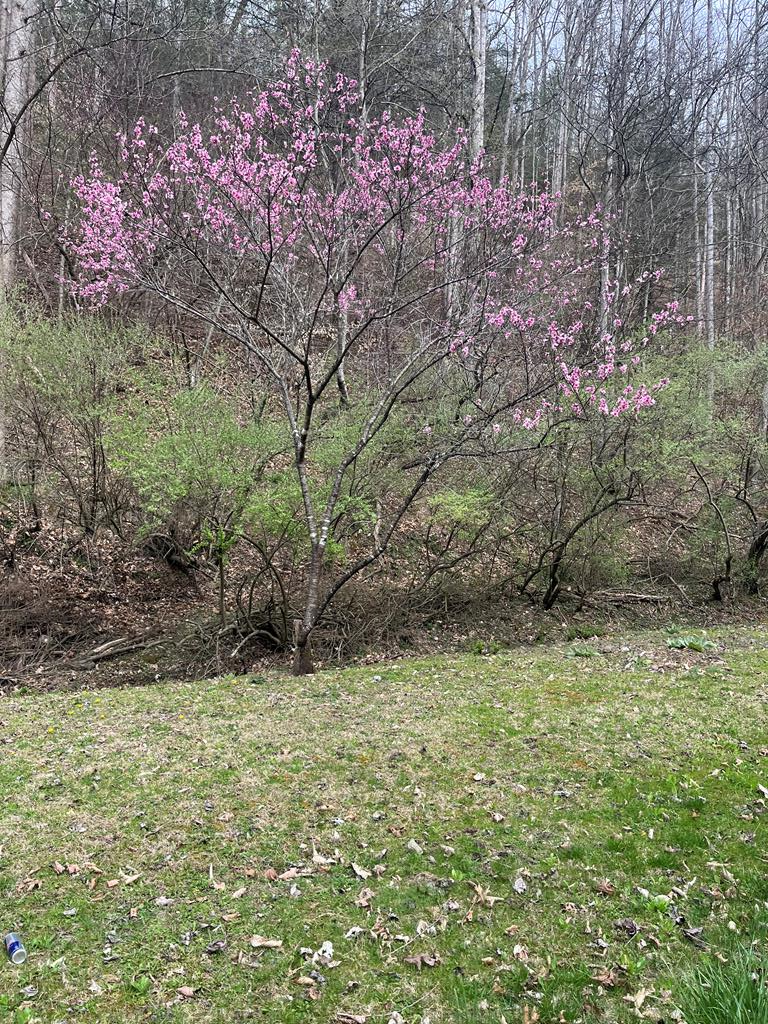 663 1242 Glass Mountain Road Property Photo