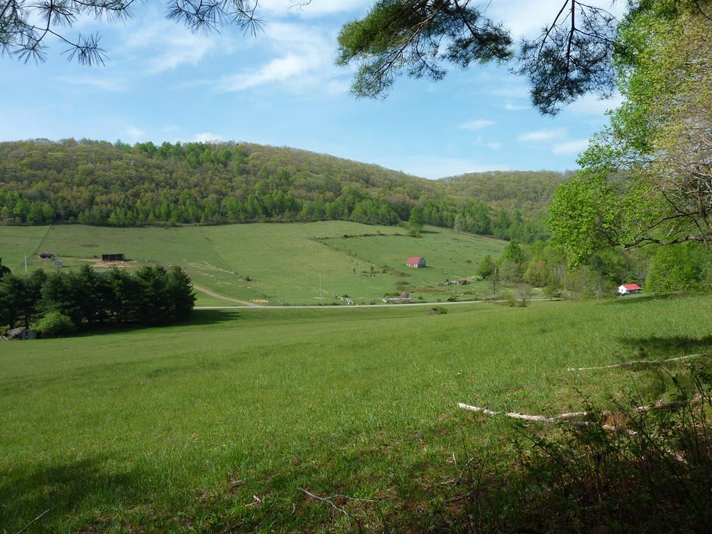 Tbd Hog Mtn. Rd. Sw Property Photo 1