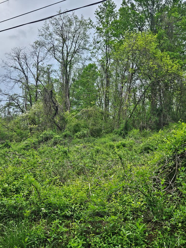 00 Euclid Ave Property Photo