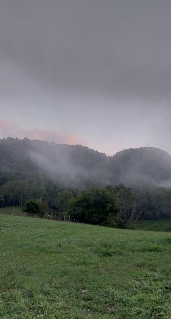 0 160 Peaceful Valley Property Photo