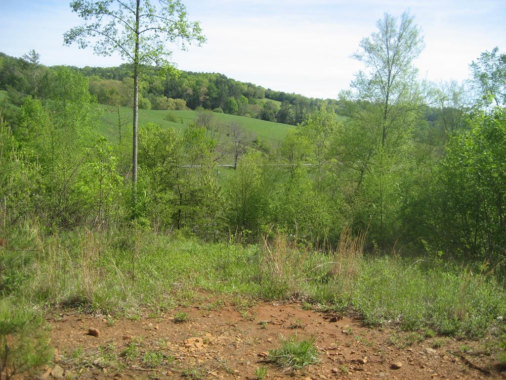 654 Silverleaf Property Photo