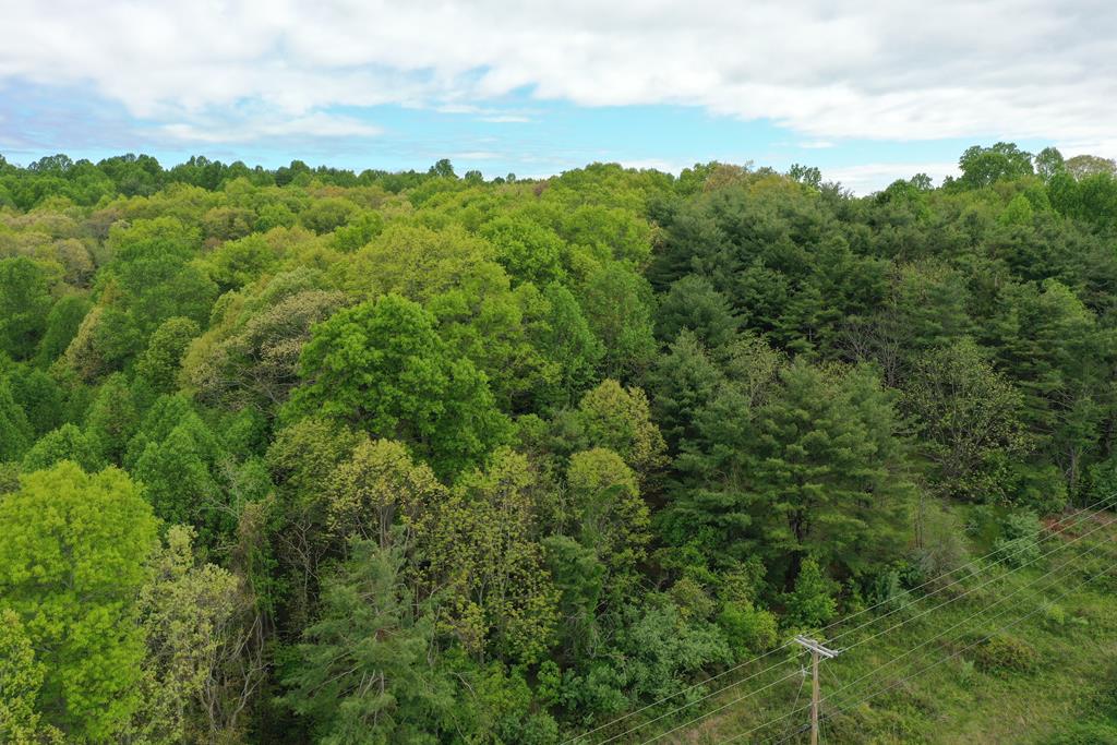 Tbd Danville Pike Property Photo