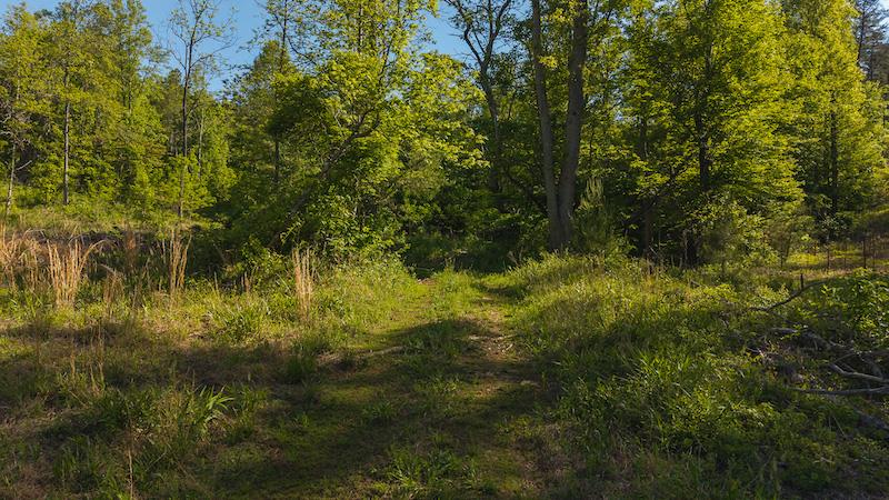 Lot 1 Shortcut Dr Property Photo