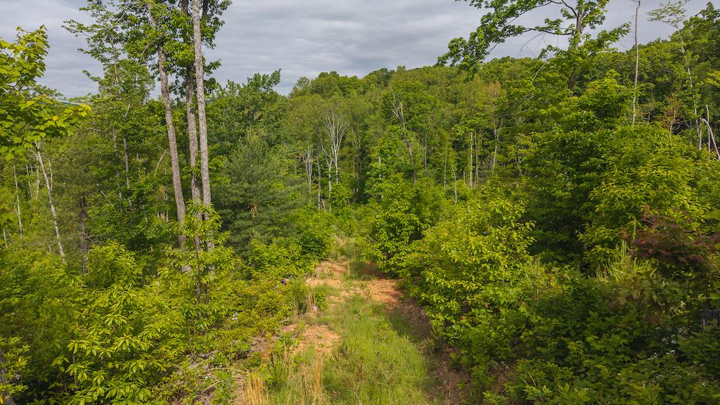 Lot 2 Shortcut Dr Property Photo