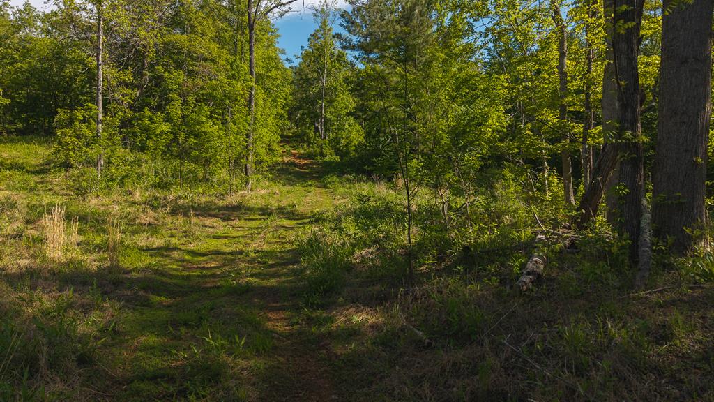 Lot 3 Shortcut Dr Property Photo