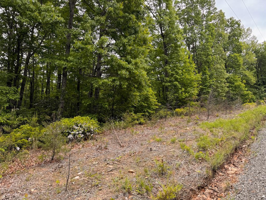 Lot 5 Shortcut Dr Property Photo