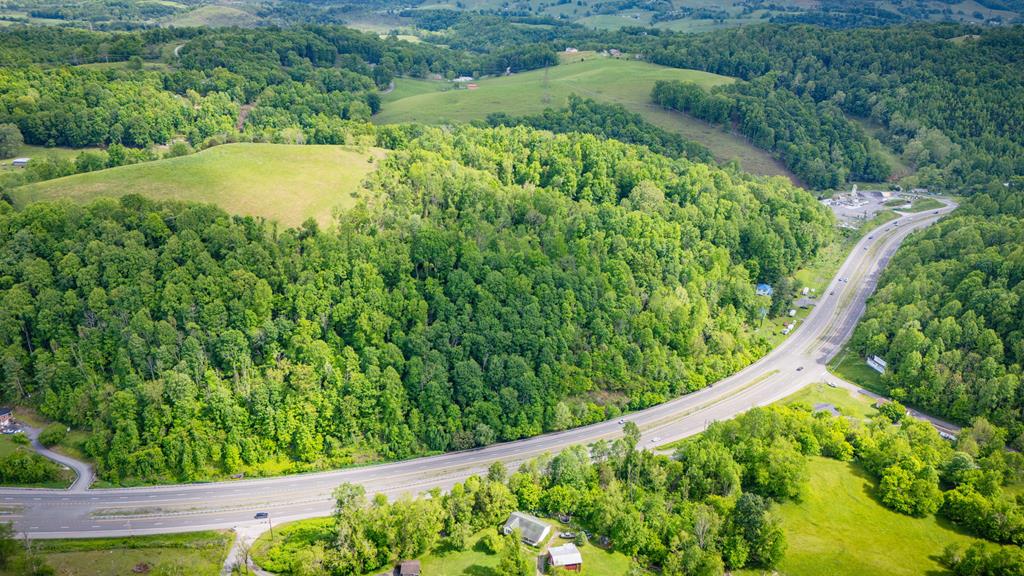 Tbd Us Highway 19 Property Photo