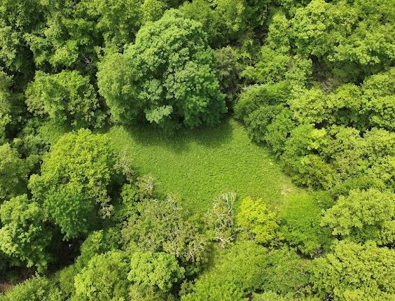 Tbd Buffalo Hollow Road Property Photo 1