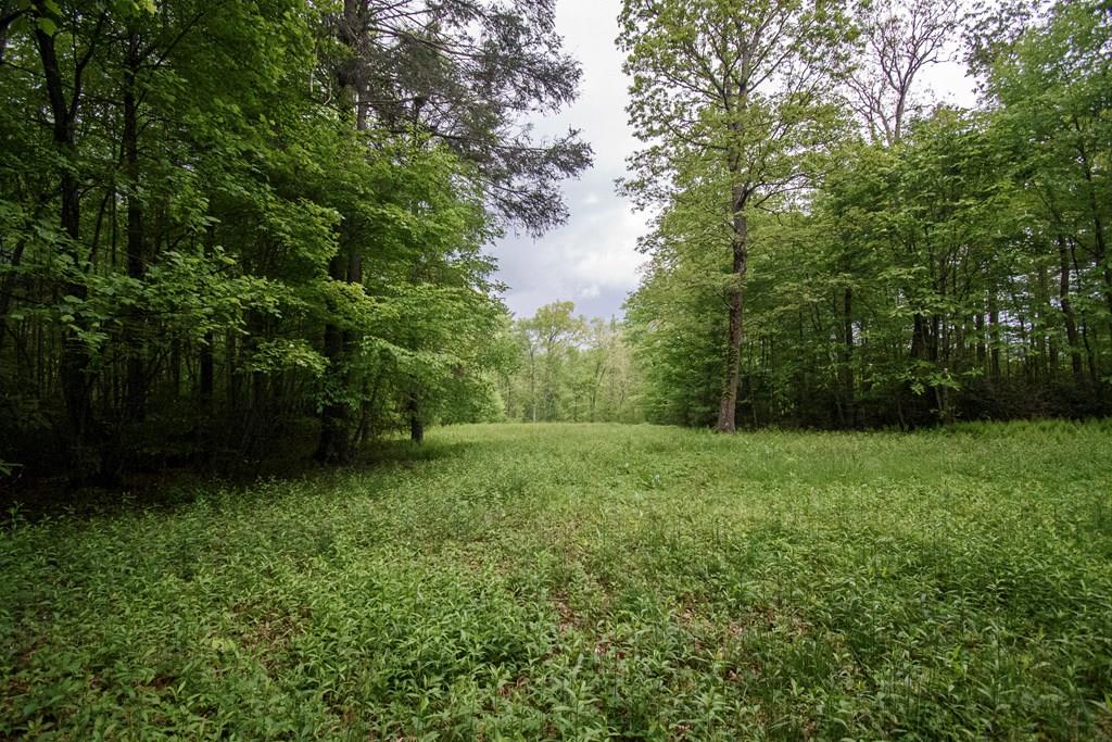 Tbd Keno Rd. Property Photo