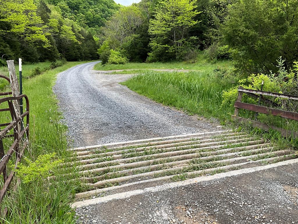 Tbd Seven Springs Hlw Rd Property Photo 1